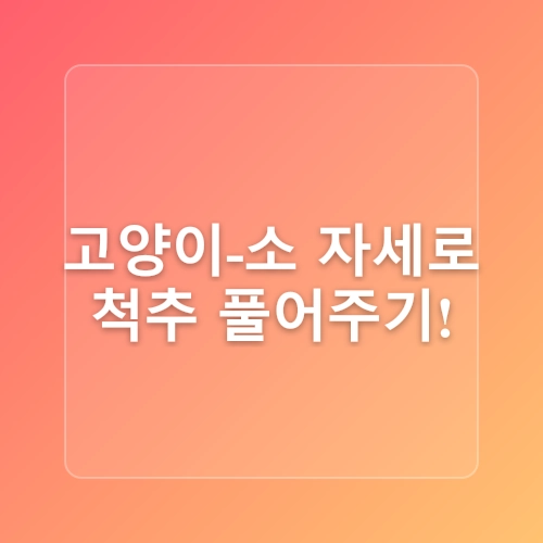 집에서 하는 요가: 근력, 유연성 향상을 위한 쉬운 방법