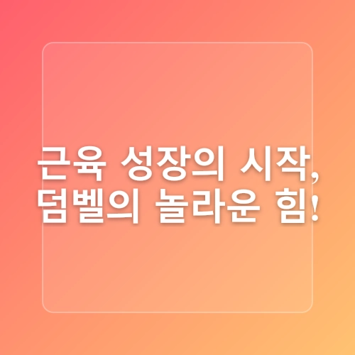 홈트레이닝을 위한 최적의 장비 추천