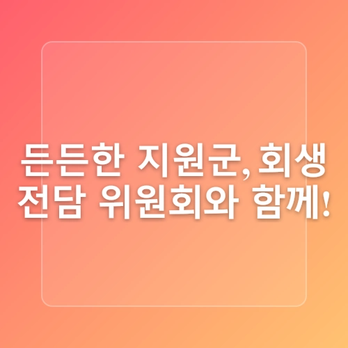 8단계로 정정리해본 개인회생 진행절차