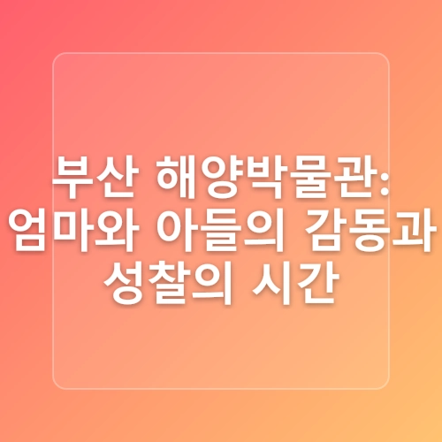 [부산여행] 5살 아들과 부산 영도 국립해양박물관, 아이와 갈만한곳 추천