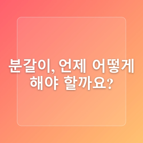 다육이 키우는법12월 관리는 이렇게