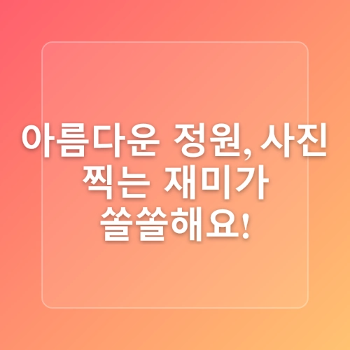 [태안여행] 안면도 나문재 카페 | 사진 찍기 좋은 대형카페 추천 | 수국 스팟