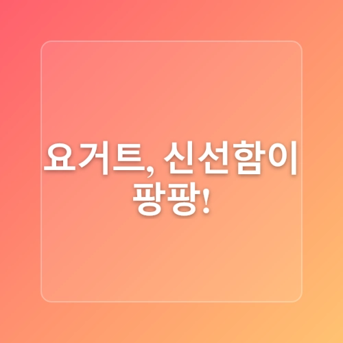 집에서 만드는 발효 식품 레시피