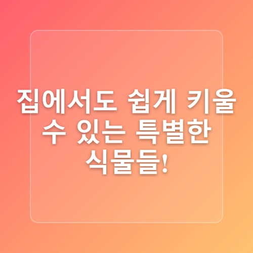 집에서키우기쉬운식물, 실내조경을 밝히는 나무 추천