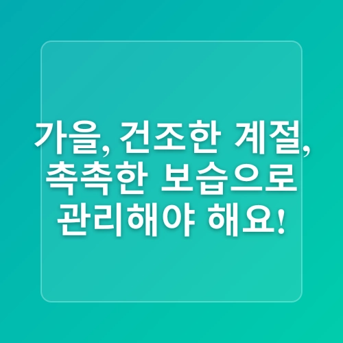 모공 관리에 적합한 계절별 스킨케어 전략