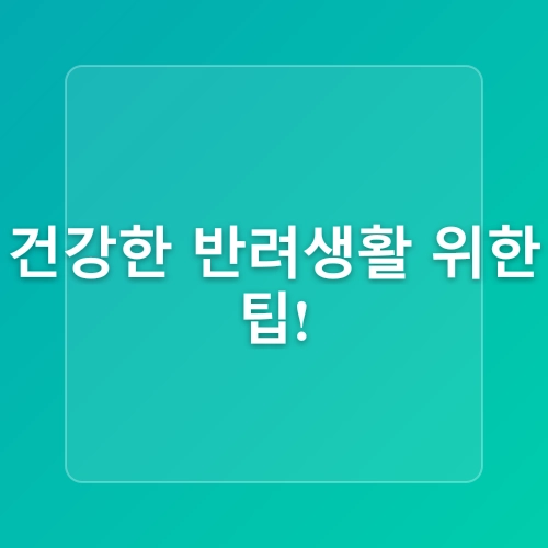 반려동물과 함께하는 건강한 생활의 지혜