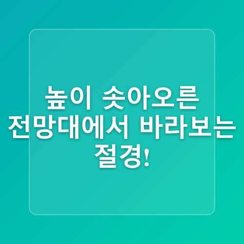 알록달록 예쁜 마을 부산 가볼만한곳 감천문화마을