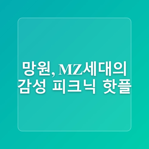 4월 서울 피크닉 명소 추천! 한강에서 즐기는 감성 피크닉 BEST 3