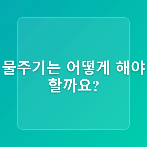 다육이 키우는법12월 관리는 이렇게