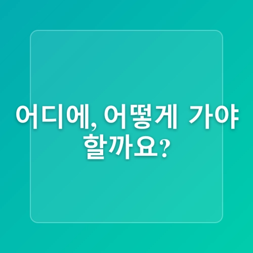 2025 보령머드축제, 진흙 속에서 벌어지는 상상초월 축제의 모든 것