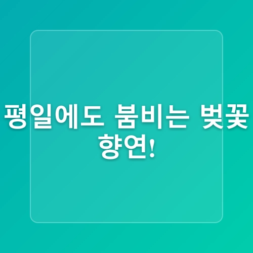인천대공원_인천대공원 벚꽃구경, 벚꽃명소, 인천에서 벚꽃사진 찍기 좋은 곳/자전거 타기, 자전거 대여료, 추가요금, 연령제한, 신분증_인천에 가볼만한 곳, 데이트, 가족나들이 추천