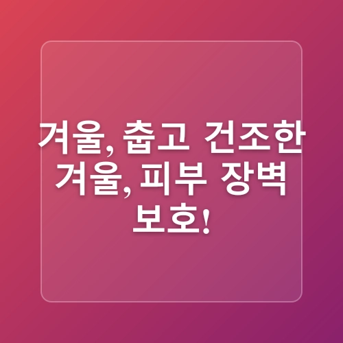 모공 관리에 적합한 계절별 스킨케어 전략