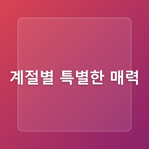 왕산해수욕장 커플을 위한 로맨틱 데이트 장소