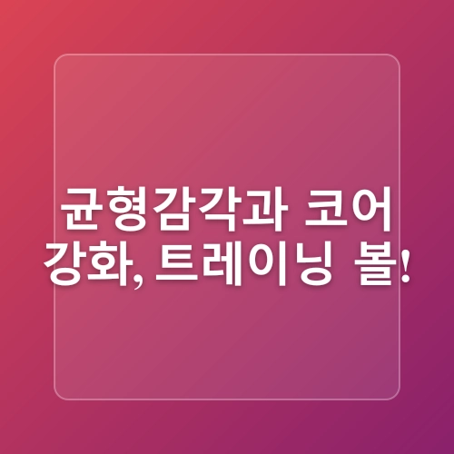 홈트레이닝을 위한 최적의 장비 추천