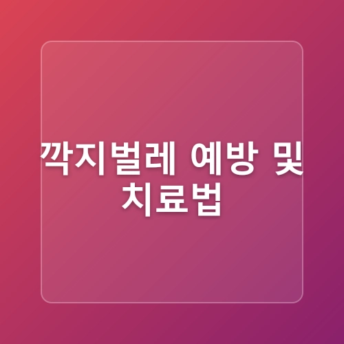 다육이 키우는법12월 관리는 이렇게