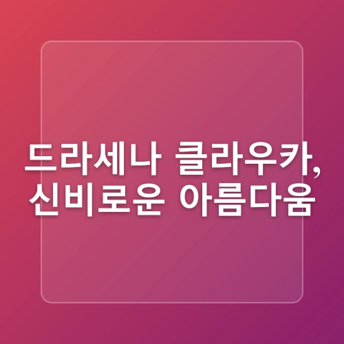 집에서키우기쉬운식물, 실내조경을 밝히는 나무 추천