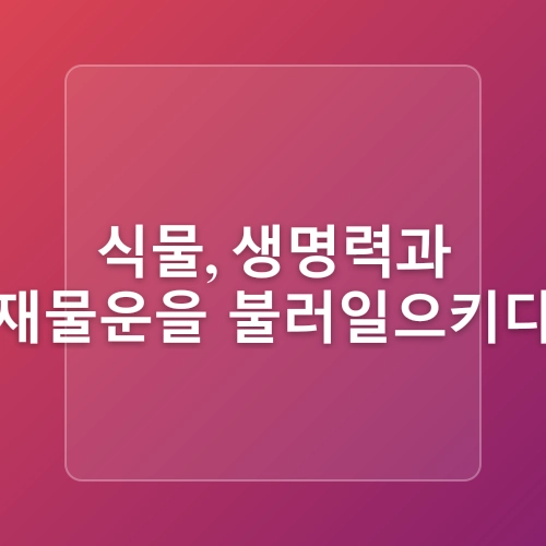 꿀잠과 행운을 부르는 침실 풍수 인테리어