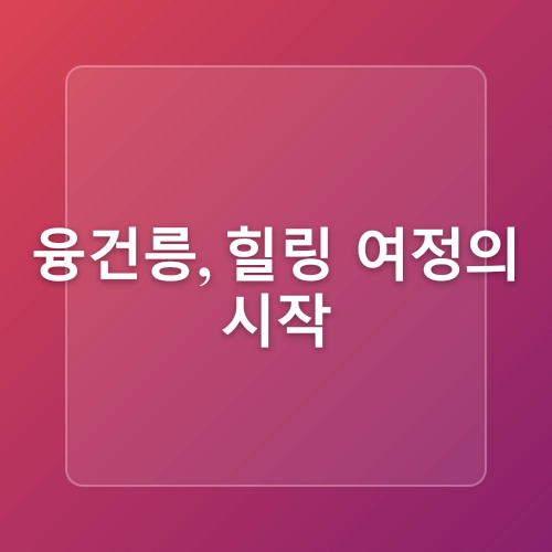 혼자 떠나는 왕릉 힐링여행  나만의 힐링여행지  조용한 숲길 따라 걷는 융건릉