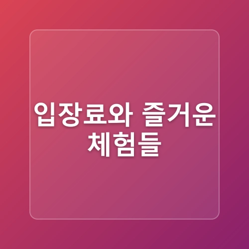 2025 보령머드축제, 진흙 속에서 벌어지는 상상초월 축제의 모든 것