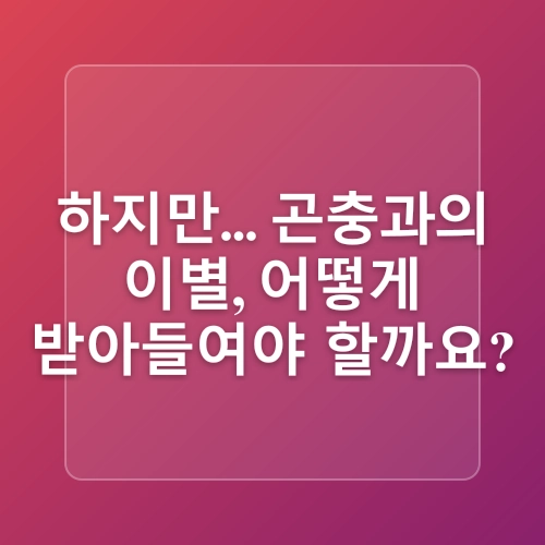 동물을 사랑하는 아이의 곤충 키우는 이야기 1