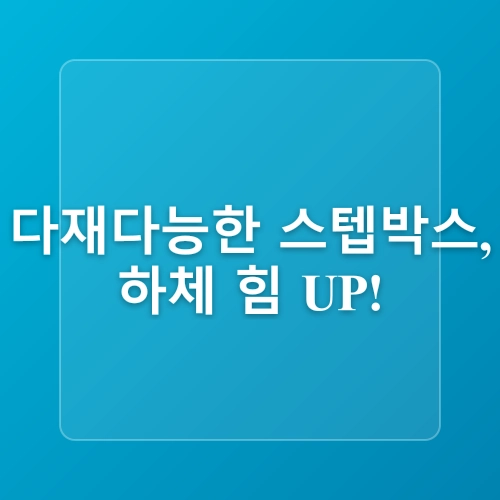 홈트레이닝을 위한 최적의 장비 추천
