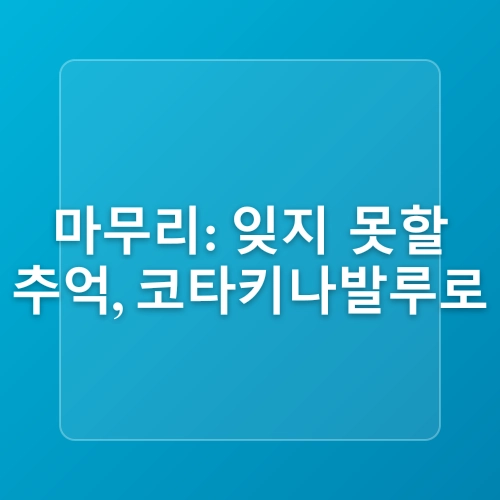 코타키나발루 반딧불투어 가격 시간 준비물 선셋 자유여행 마사지 추천