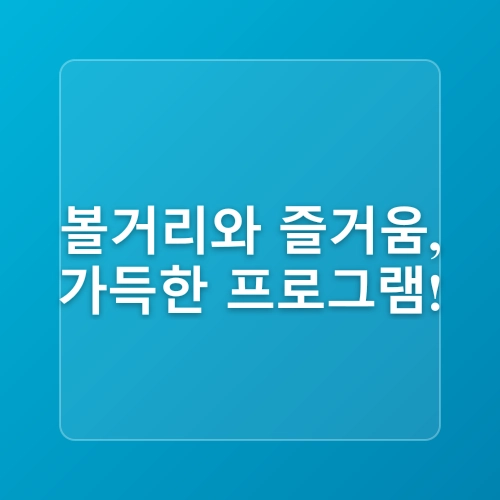 2025 보령머드축제, 진흙 속에서 벌어지는 상상초월 축제의 모든 것