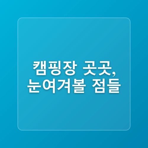 치악산국립공원 금대야영장 '우중캠핑'_250615