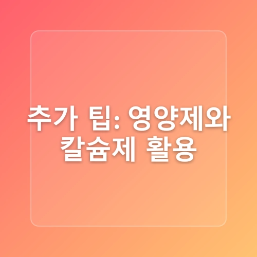 다육이 키우는법12월 관리는 이렇게