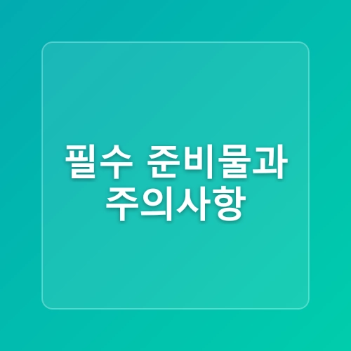 2025 보령머드축제, 진흙 속에서 벌어지는 상상초월 축제의 모든 것
