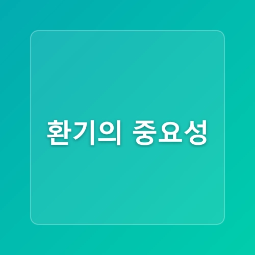 다육이 키우는법12월 관리는 이렇게