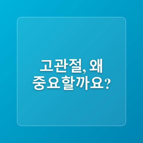 고관절 스트레칭 요가 효과 자세 교정 운동 홈트레이닝 팁