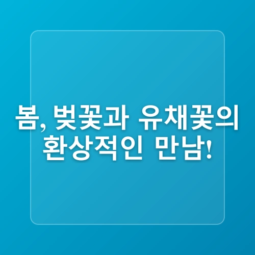 계절별 꽃구경 명소 추천